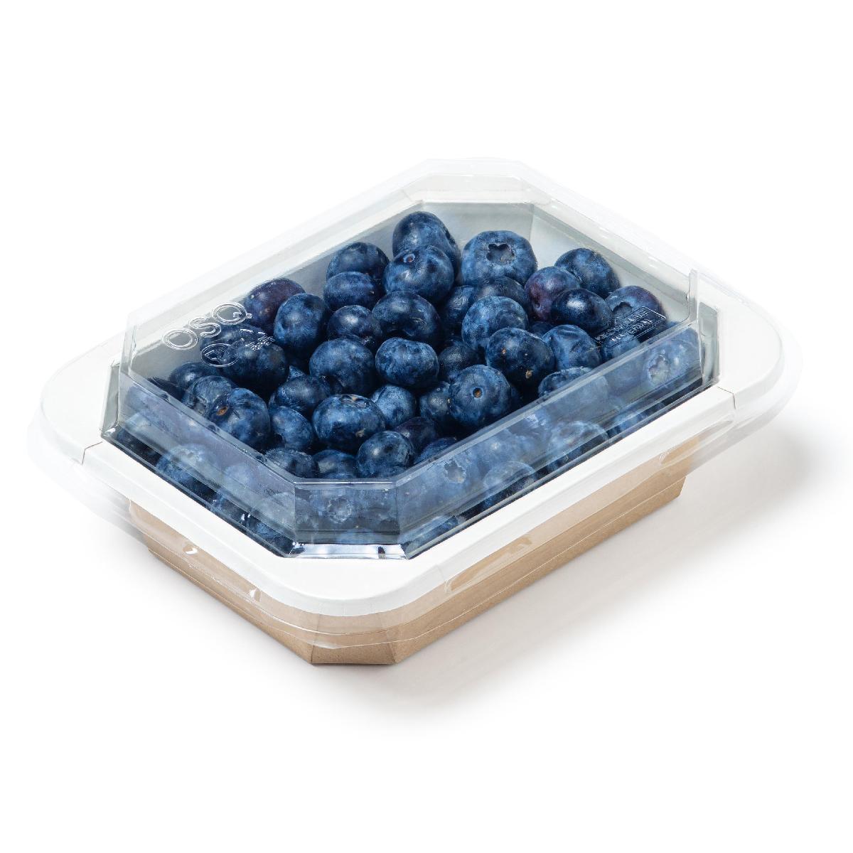 Крышка для контейнера CASE BOWL 860 купольная ПЭТ OSQ (45/360)