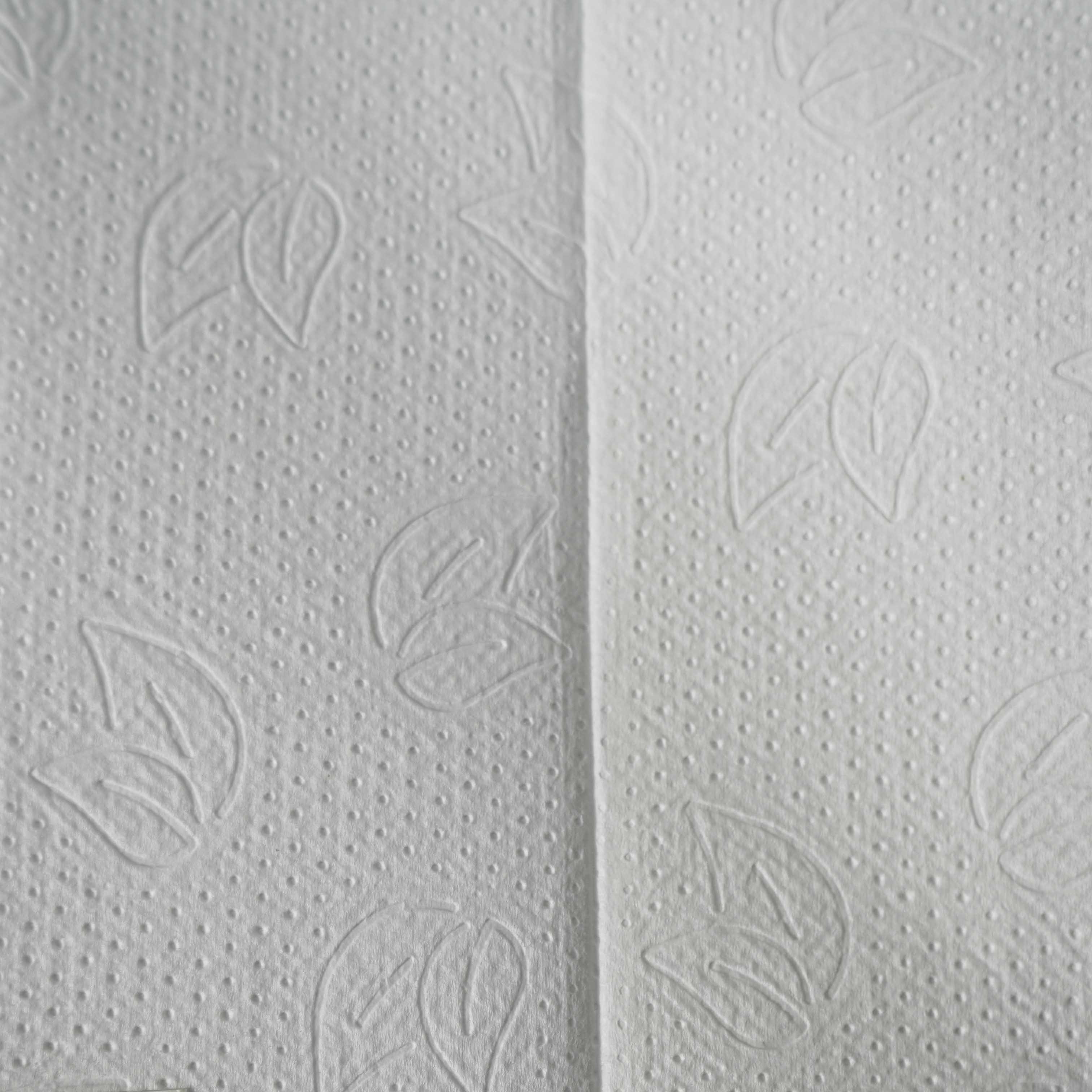 Бумажные полотенца 2-сл Z-сложение 190л 23×21см Protissue H2 целлюлоза С443 (21)