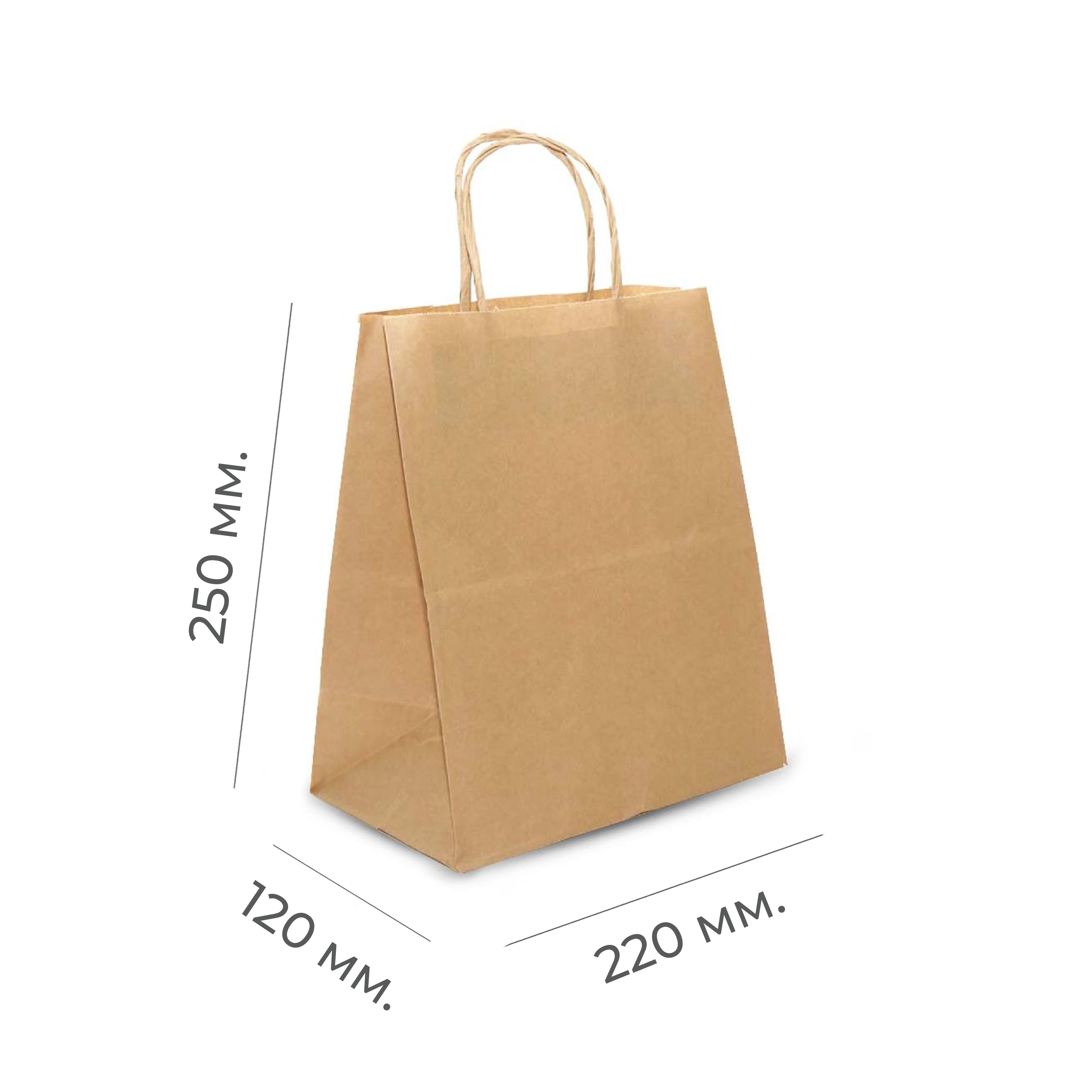 Крафт-пакет с кручеными ручками 220×120×250мм 70г/м² крафт (50/250)