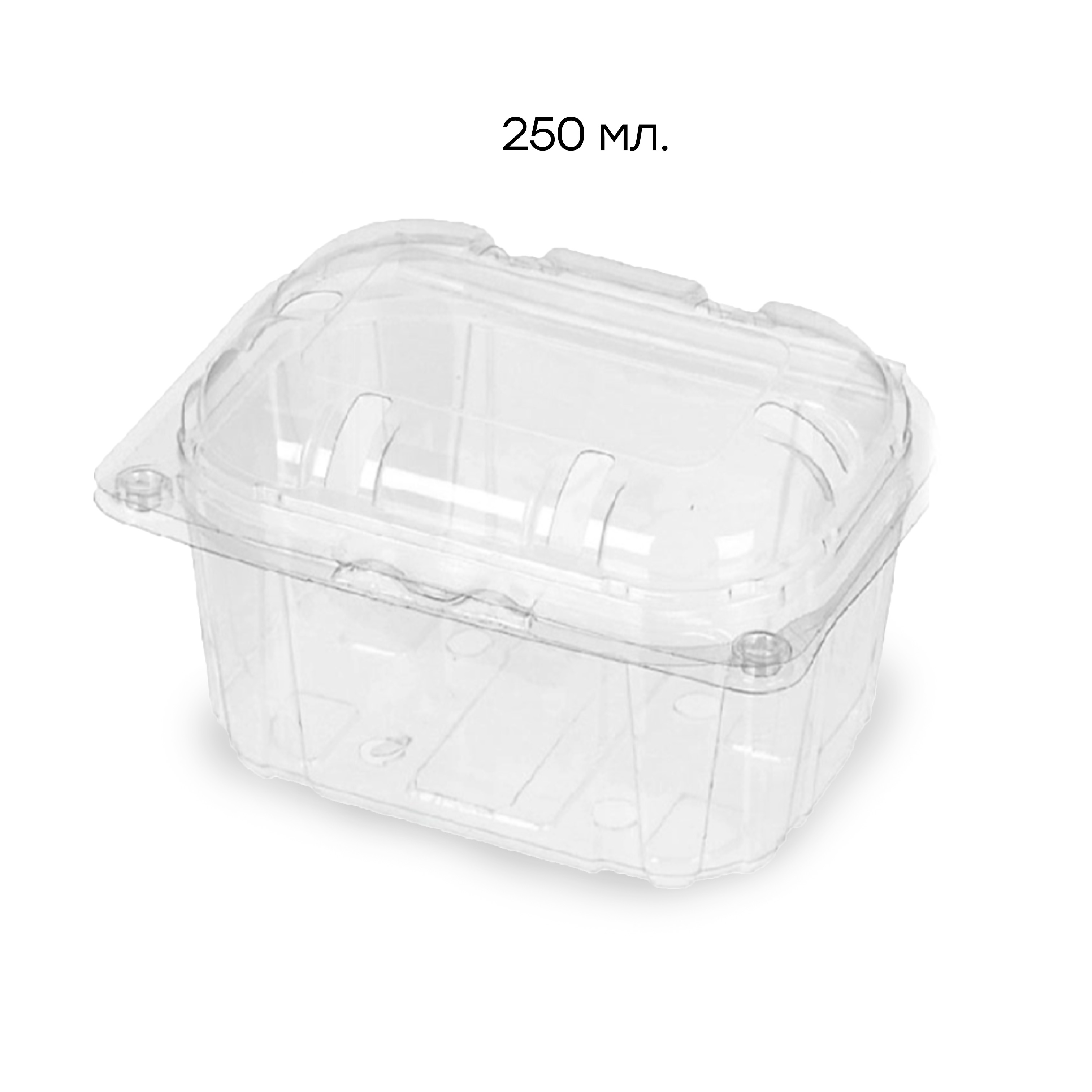 Контейнер с откидной крышкой и отверстиями ПР-РКФ-250мл ПЭТ 125*93*75 ПЭТ (520)