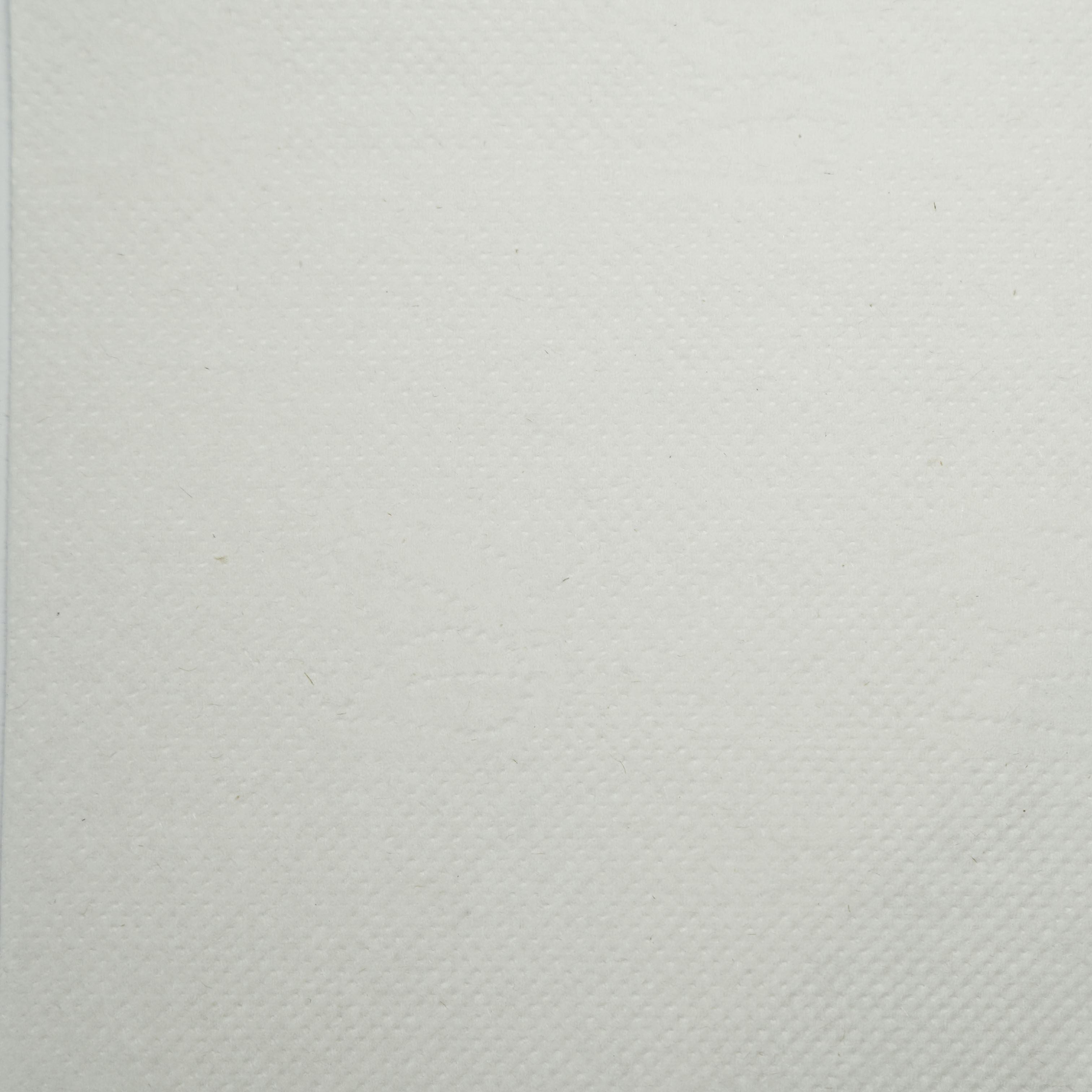 Салфетки бумажные 1-слойные 24×24см 500шт белые Protissue C211 (10)