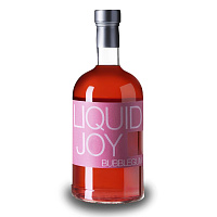 Сироп "Бабл-Гам" LIQUID JOY стекло 0,7л (6)