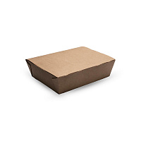 Контейнер картонный "Eco Lunch" L 1000мл 170/190*130/150*50 OSQ (25/250)